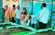 गांडूळ खत निर्मिती प्रकल्पाचे उदघाटन